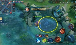 龙公子最新爆料图片视频,独家图片视频揭秘幕后真相